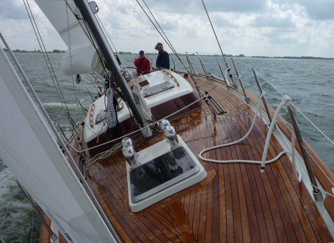 Zeeman 41